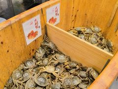 -初色海鲜自助(万丰路店)