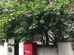 门面-万寿斋(山阴路店)