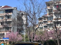 -桃浦新村(地铁站)