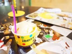 -莓园冰淇淋店