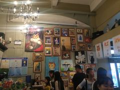 -猫咪博物馆(顶澳仔猫街店)