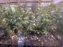 -上海昆虫博物馆