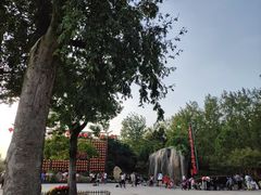 -合肥滨湖国家森林公园