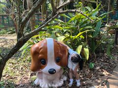 -海南热带野生动植物园