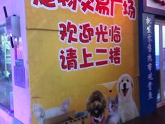 -山东柏宁水族批发广场