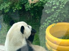 -青藏高原野生动物园
