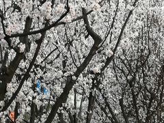 -美兰湖景区