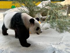 -杭州野生动物世界
