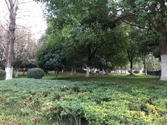 -百年尹氏汤包(湖南路狮子桥店)