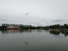 -上海长兴岛郊野公园