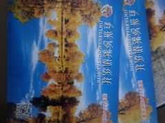 -金塔沙漠胡杨林景区