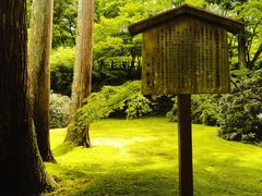 -三千院