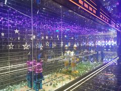 -星璨火吧KTV聚会餐厅(丰庆路店)
