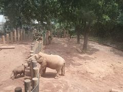 -昆明动物园