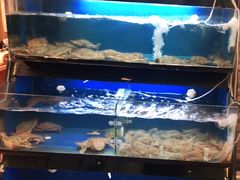 -温州炎亭海鲜阁(万塘路店)