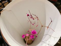 -魔方城市书房(中街益田店)