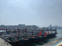 -枸杞岛