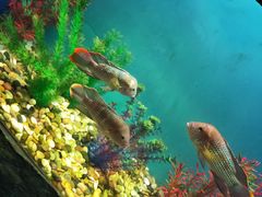 -多彩贵州城极地海洋世界