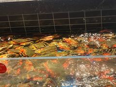 -阿明小菜·海鲜·上海菜(梅陇店)
