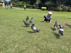 -白鹭洲公园