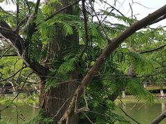 -白塘生态植物园