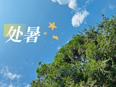 -大围山国家森林公园