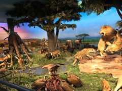 -国家自然博物馆