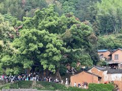 -杨家堂村