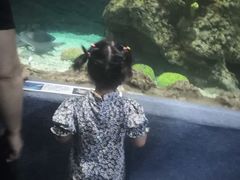 -南昌海洋公园