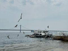 -星海广场