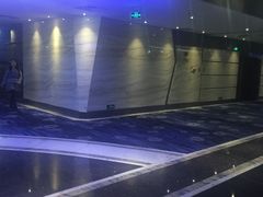 -飞扬影城(正佳IMAX店)