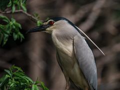 -乐和乐都主题乐园