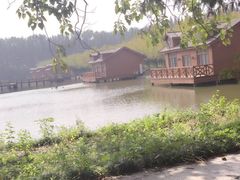 -金岛生态园烧烤露营地