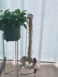 -A+瑜伽·普拉提