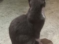 -MIKAKU(万达广场上海宝山店)