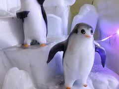 -兰溪地下长河