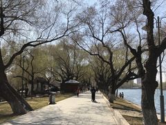 -沈阳南湖公园