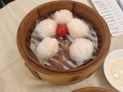 -益健美食大广场(北岭店)