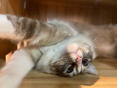 -白兔子密室(长寿路店)