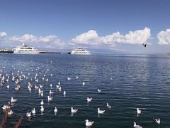 -青海湖国家重点风景名胜区