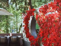 -Circle圆·花园西餐厅