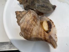 -海味当家·蒸锅海鲜(中山广场创始店)