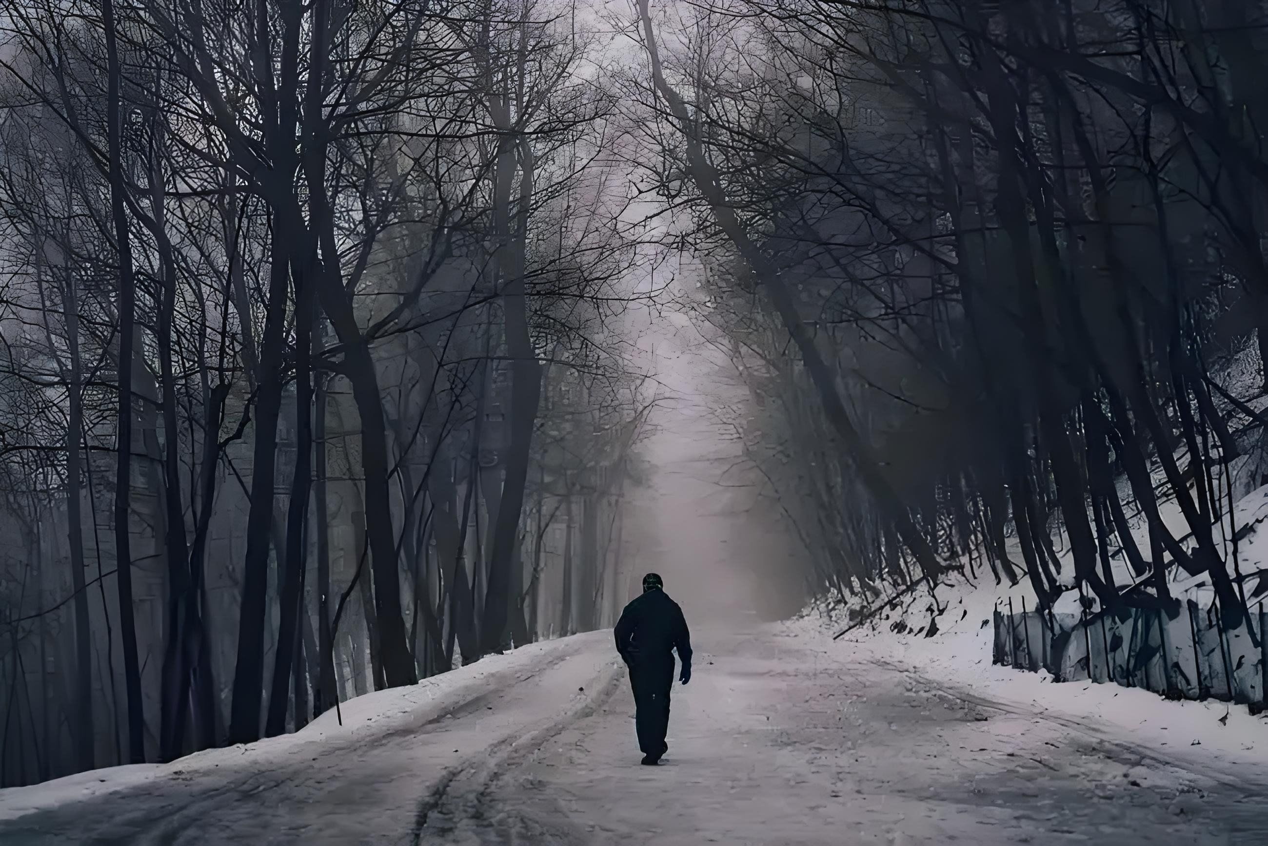 孤独的路,寒冷的冬