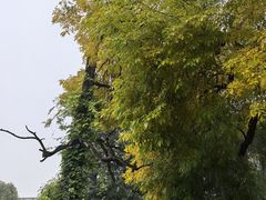 -承恩寺