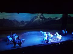 -cavalia·舞马