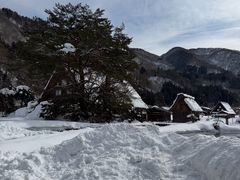 -白川乡与五箇山的合掌构造村落