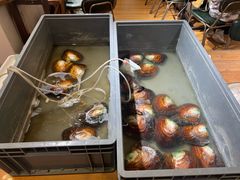 -十八字金·银饰·拼豆·开蚌DIY(魏公芳华里店)