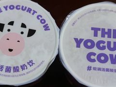 -一只酸奶牛(春熙路店)