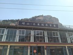 -崂山水果园农家宴(泉水鸡店)