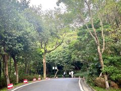 -广州市白云山风景名胜区